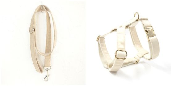 Dog collar traction rope (Option: Set-S)