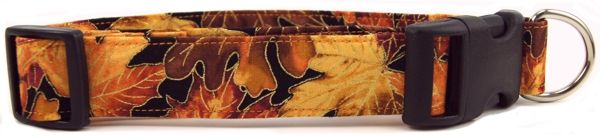 Autumn Leaves Dog Collar (Option: Small)