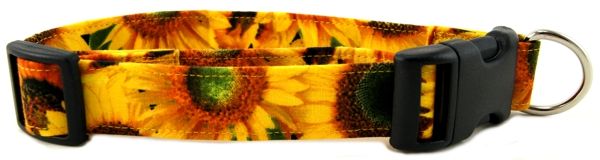 Sunny Sunflowers Dog Collar (Option: Medium)